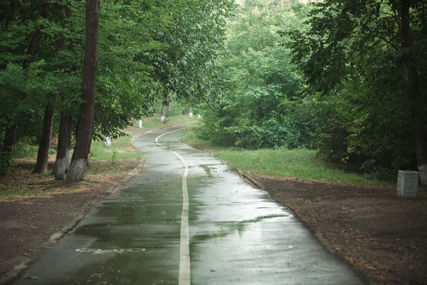 Straße im grünen Wald — Stockfoto