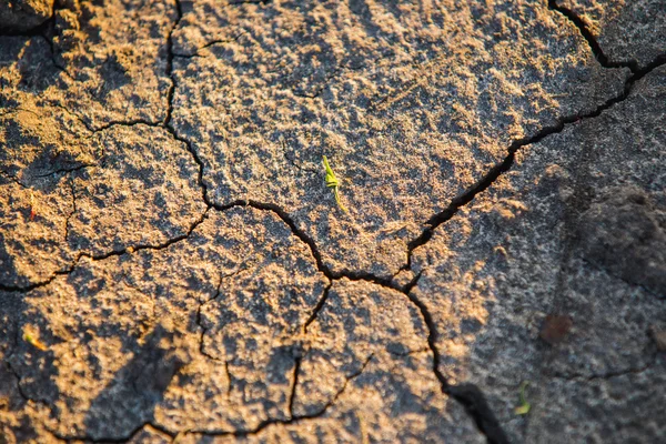 Kırık toprak doku — Stok fotoğraf