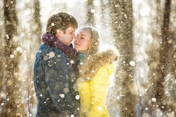 Šťastný pár v zimě parku — Stock fotografie