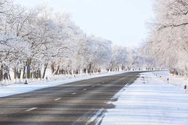 Carretera en bosque de invierno —  Fotos de Stock