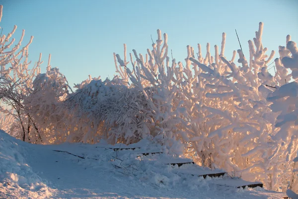 Beautiful winter landscape — Stock Photo, Image