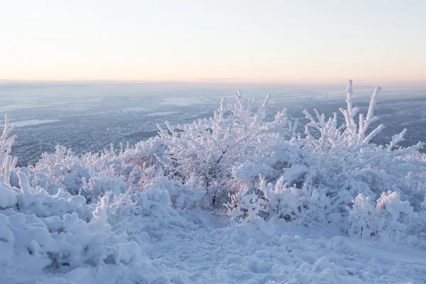 Beautiful winter landscape — Stock Photo, Image