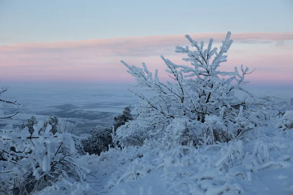 Beautiful winter landscape — Stock Photo, Image