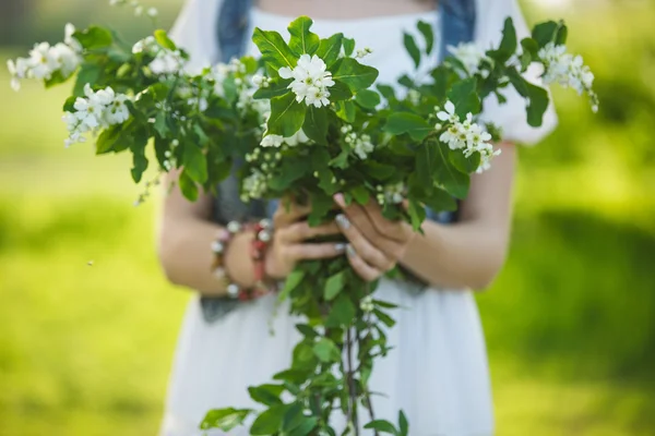 Kadın çiçek açması ile kiraz dallar — Stok fotoğraf