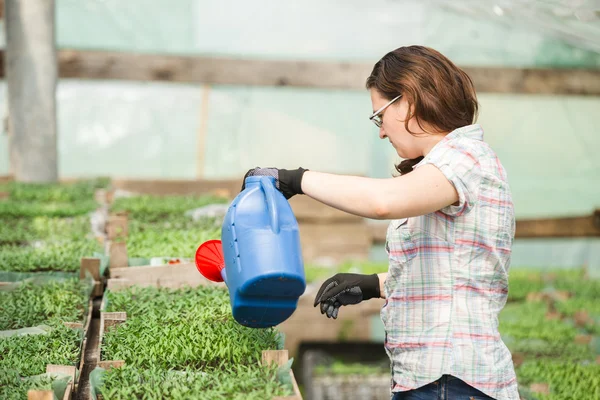 Woman watering seedlings — Stock Photo, Image