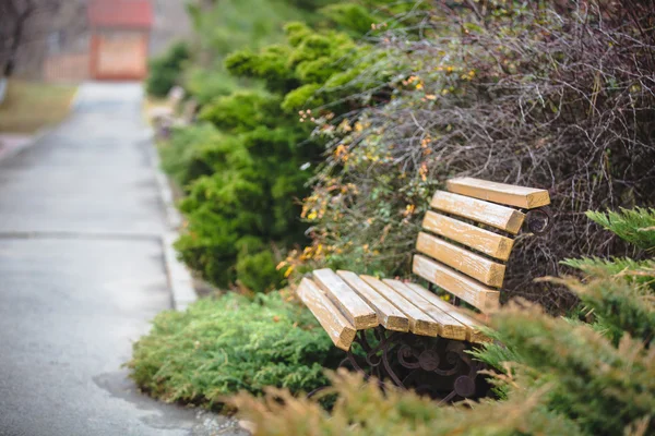 Bench az őszi parkban — Stock Fotó