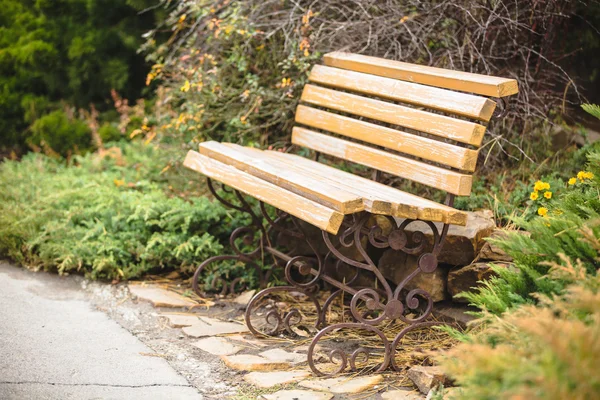 Bench az őszi parkban — Stock Fotó