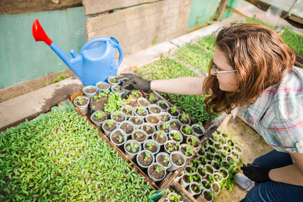 Jardinero femenino en invernadero — Foto de stock © Scharfsinn #111784748