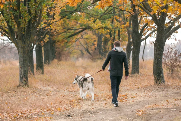 Mann geht mit Hund spazieren — Stockfoto