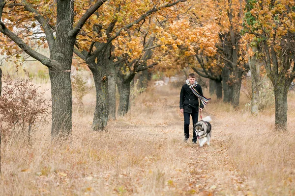 Mann geht mit Hund spazieren — Stockfoto
