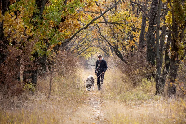 Homem andando com cão — Fotografia de Stock