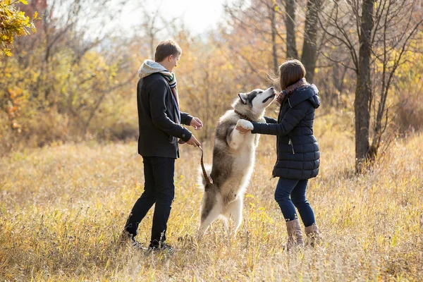 Ungt par med hund — Stockfoto