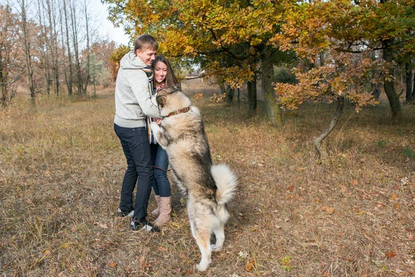 Ungt par med hund — Stockfoto