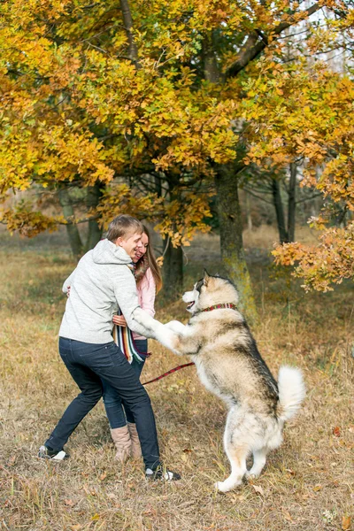 Ungt par med hund — Stockfoto