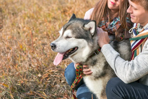 Ungt par med hund — Stockfoto