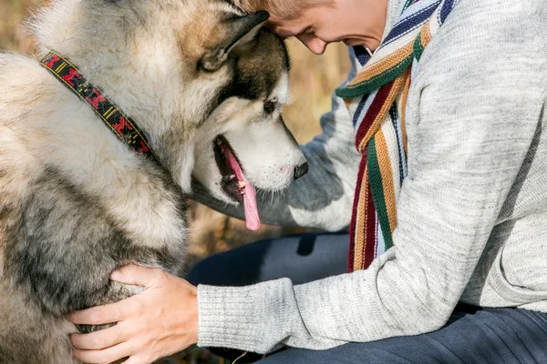 Människa och husky hund — Stockfoto