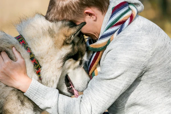 Människa och husky hund — Stockfoto