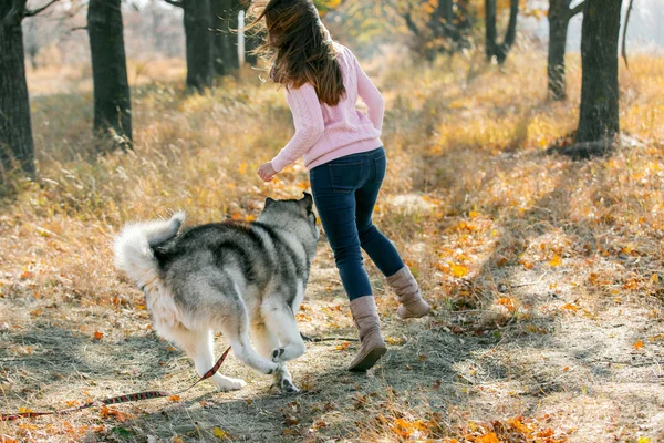 Flicka leker med hund — Stockfoto