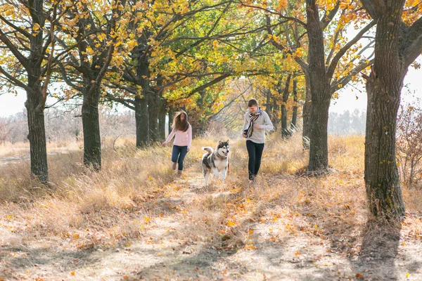 Pareja joven con perro — Foto de Stock