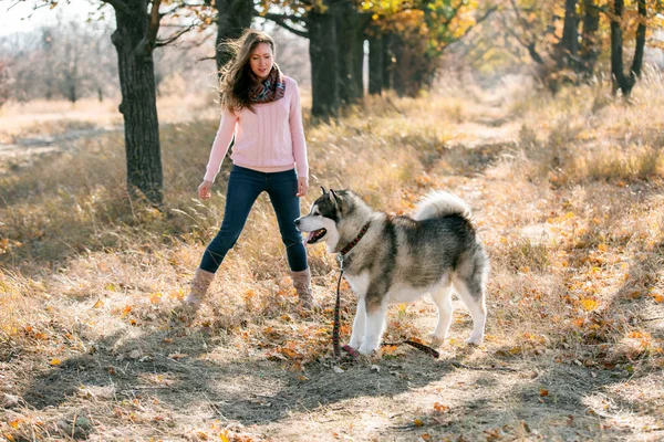 Flicka leker med hund — Stockfoto