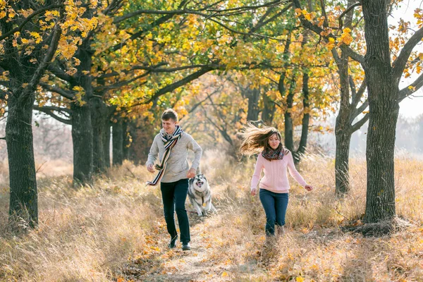 Jovem casal com cão — Fotografia de Stock