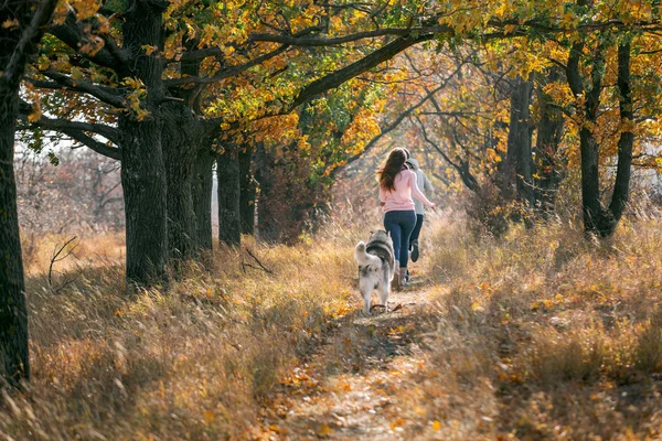 Mädchen spielt mit Hund — Stockfoto