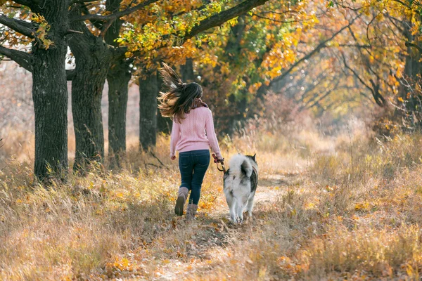 Mädchen spielt mit Hund — Stockfoto