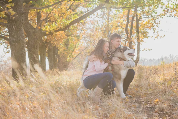 Jovem casal com cão — Fotografia de Stock