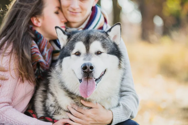 Ungt par med hund — Stockfoto