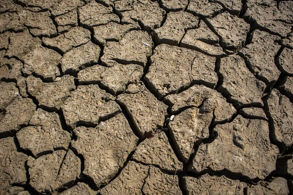 Textura del suelo agrietada — Foto de Stock