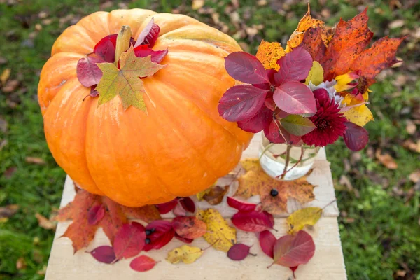 Großer Kürbis und Herbstblätter — Stockfoto