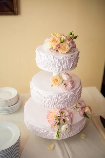 Magnifique gâteau de mariage — Photo