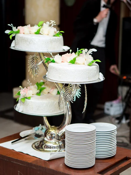 Magnifique gâteau de mariage — Photo