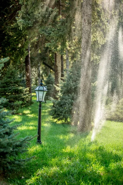 Aspersores de jardín salpicaduras de agua —  Fotos de Stock