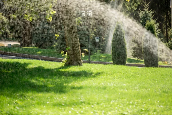 Garden sprinklers splashing water — Stock Photo, Image