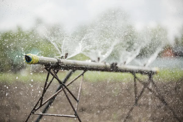 Espolvorear en un campo en una granja —  Fotos de Stock