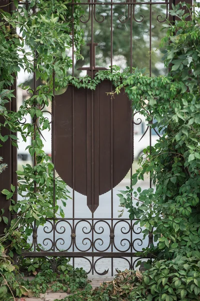 Porte avec feuilles de vigne — Photo