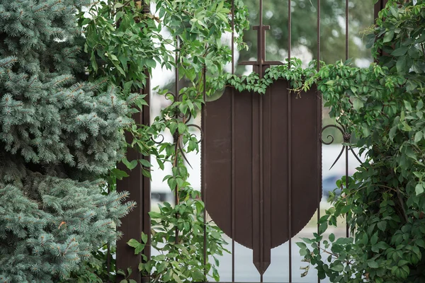 Porte avec feuilles de vigne — Photo