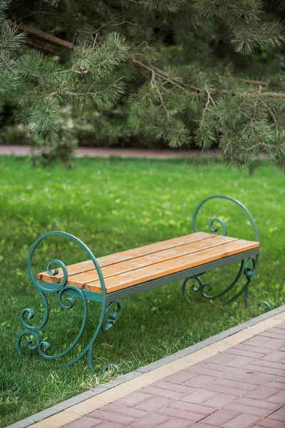 Bench a nyári parkban — Stock Fotó
