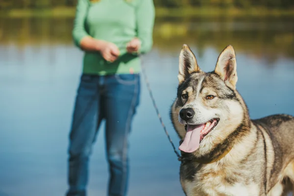 Kvinna med hund nära lake — Stockfoto