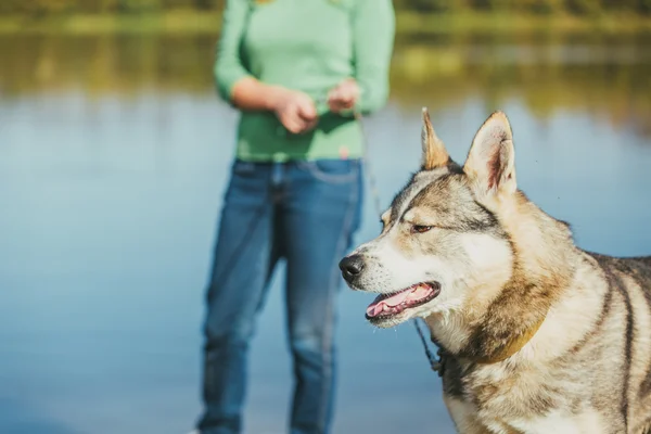 Kvinna med hund nära lake — Stockfoto