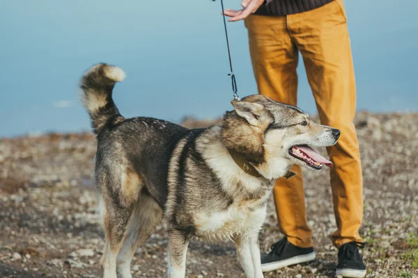 Hombre con su perro cerca del lago —  Fotos de Stock