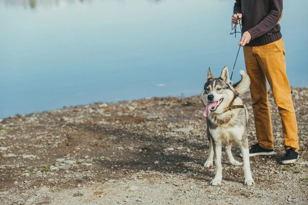 Mann mit Hund in der Nähe des Sees — Stockfoto