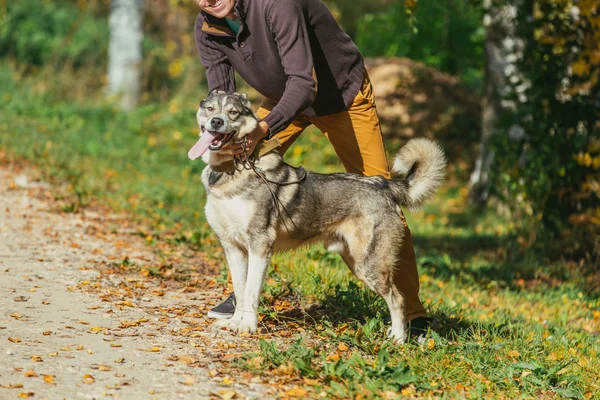 Man med sin hund i park — Stockfoto