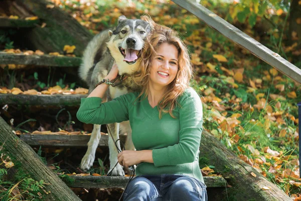 Женщина в парке со своей собакой — стоковое фото