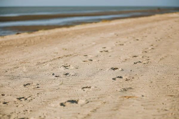 Foot prints on sandy beach — Stock Photo, Image