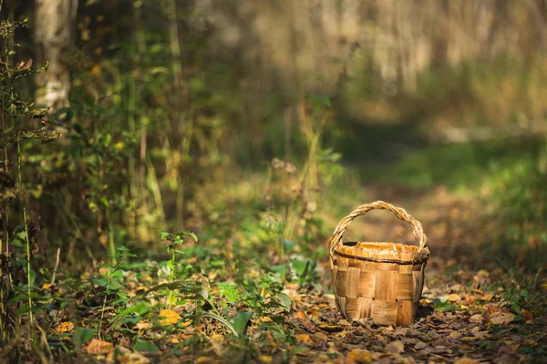 Wooden basket on trail — Stock Photo, Image