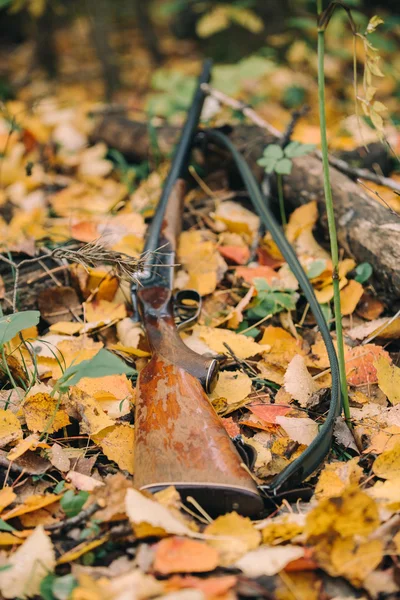 Old fashioned rifle — Stock Photo, Image