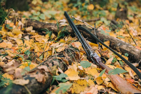 Altmodisches Gewehr — Stockfoto