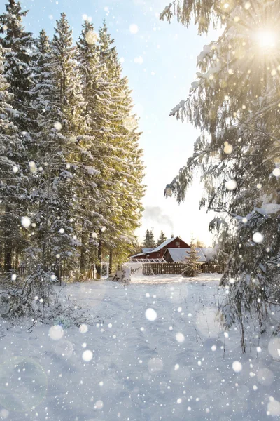 Zonsopgang in dorp op de winter — Stockfoto